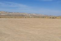 a large open field that has some animals standing in it while someone is about to throw a frisbee