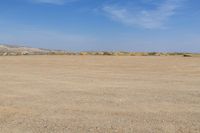 a large open field that has some animals standing in it while someone is about to throw a frisbee