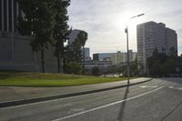 view of a street with trees and skyscrapers in the background in this photo, as well as a street light