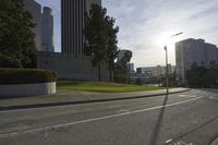 view of a street with trees and skyscrapers in the background in this photo, as well as a street light
