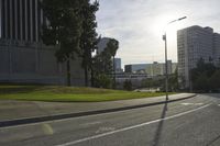 view of a street with trees and skyscrapers in the background in this photo, as well as a street light