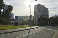view of a street with trees and skyscrapers in the background in this photo, as well as a street light