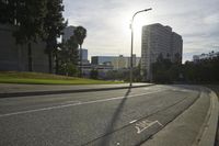 view of a street with trees and skyscrapers in the background in this photo, as well as a street light
