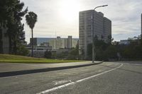 view of a street with trees and skyscrapers in the background in this photo, as well as a street light