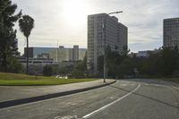 view of a street with trees and skyscrapers in the background in this photo, as well as a street light