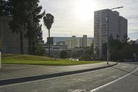 view of a street with trees and skyscrapers in the background in this photo, as well as a street light
