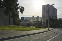 view of a street with trees and skyscrapers in the background in this photo, as well as a street light