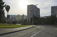 view of a street with trees and skyscrapers in the background in this photo, as well as a street light