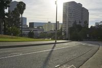 view of a street with trees and skyscrapers in the background in this photo, as well as a street light