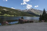 a scenic view of a large mountain lake and pine trees by it with a few rocks next to them