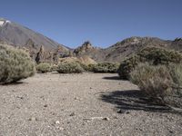 a dry valley with some mountains in the background and rocks and shrubs around it,