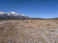 the view over snow capped mountains from the field of dry grass and brush with no leaves