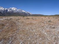 the view over snow capped mountains from the field of dry grass and brush with no leaves