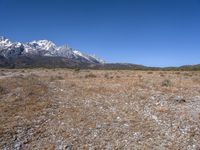 the view over snow capped mountains from the field of dry grass and brush with no leaves