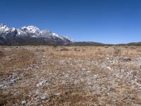 the view over snow capped mountains from the field of dry grass and brush with no leaves