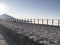 a lone cow in an icy field looking at the sunset over the ocean and a mountain