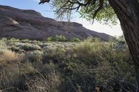 Scenic View of Utah Desert Landscape