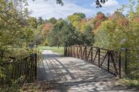 a wooden bridge over a paved path in the autumntime with fall foliage and a path winding through it