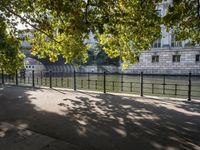 the long walkway passes through the trees by the riverbank and boats are floating on it