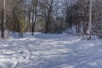 Scenic Winter Landscape in Ontario, Canada