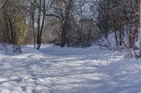 Scenic Winter Landscape in Ontario, Canada