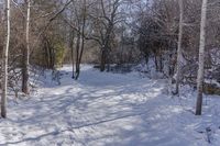 Scenic Winter Landscape in Ontario, Canada