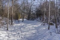 Scenic Winter Landscape in Ontario, Canada