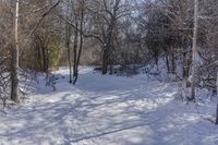 Scenic Winter Landscape in Ontario, Canada