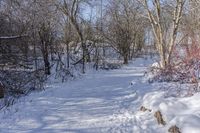 Scenic Winter Landscape in Ontario, Canada