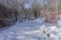 Scenic Winter Landscape in Ontario, Canada