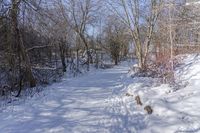 Scenic Winter Landscape in Ontario, Canada