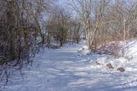 Scenic Winter Landscape in Ontario, Canada