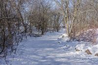 Scenic Winter Landscape in Ontario, Canada