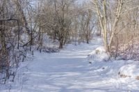 Scenic Winter Landscape in Ontario, Canada