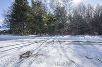 Scenic Winter Landscape, Ontario, Canada 002