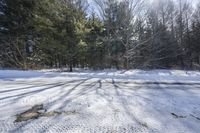 Scenic Winter Landscape in Ontario, Canada