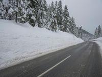 an empty road next to a snowy mountain range with fir trees along both sides of the road