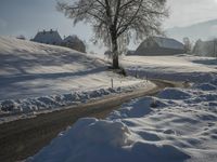 a snow covered road passing by a tree near a hill on a sunny day with a sky