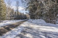 snow covered country road on a sunny day with a lot of trees and bushes around it