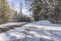 snow covered country road on a sunny day with a lot of trees and bushes around it