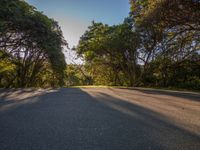 trees line the roadside, a long paved street with a bench on it in a wooded area