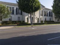 Seamless Blend of Asphalt Road in Residential Area