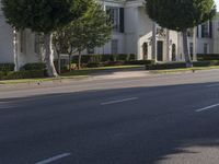 Seamless Blend of Asphalt Road in Residential Area