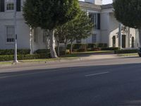 Seamless Blend of Asphalt Road in Residential Area