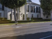 Seamless Blend of Asphalt Road in Residential Area