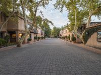 brick walkway in front of stone townhomes with trees and plants on either side