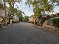 brick walkway in front of stone townhomes with trees and plants on either side