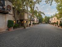 brick walkway in front of stone townhomes with trees and plants on either side