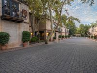 brick walkway in front of stone townhomes with trees and plants on either side