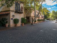 this is an image of a nice house with trees and plants in pots on the driveway